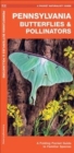 Image for Pennsylvania Butterflies &amp; Pollinators : A Folding Pocket Guide to Familiar Species