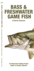 Image for Bass &amp; Freshwater Game Fish of North America : An Illustrated Folding Pocket Guide to Familiar Species