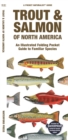 Image for Trout &amp; Salmon of North America : An Illustrated Folding Pocket Guide to Familiar Species