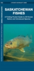 Image for Saskatchewan Fishes : A Folding Pocket Guide to All Known Natuve and Introduced Species