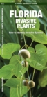 Image for Florida Invasive Plants : A Folding Pocket Guide to Familiar Plants