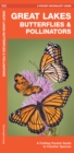 Image for Great Lakes Butterflies &amp; Pollinators : A Folding Pocket Guide to Familiar Species