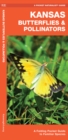 Image for Kansas Butterflies &amp; Pollinators : A Folding Pocket Guide to Familiar Species
