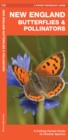Image for New England Butterflies &amp; Pollinators : A Folding Pocket Guide to Familiar Species