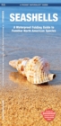 Image for Seashells : A Waterproof Folding Guide to Familiar North American Species