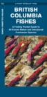 Image for British Columbia Fishes : A Folding Pocket Guide to All Known Native and Introduced Freshwater Species