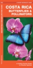 Image for Costa Rica Butterflies &amp; Pollinators : A Folding Pocket Guide to Familiar Species
