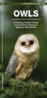 Image for Owls : A Folding Pocket Guide to Familiar Species Worldwide