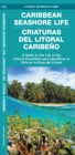 Image for Caribbean Seashore Life (Criaturas del Litoral Caribeno)