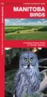 Image for Manitoba Birds : An Introduction to Familiar Species