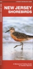 Image for New Jersey Shorebirds : A Waterproof Folding Guide to Familiar Species