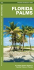 Image for Florida Palms : A Folding Pocket Guide to Familiar Palms of Florida