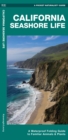 Image for California Seashore Life : A Waterproof Folding Guide to Familiar Animals &amp; Plants