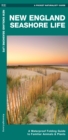 Image for New England Seashore Life : A Waterproof Folding Guide to Familiar Animals &amp; Plants