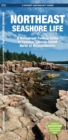 Image for Northeast Seashore Life : A Waterproof Folding Guide to Familiar Species Found North of Massachusetts