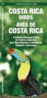 Image for Costa Rica Birds / Aves de Costa Rica : A Folding Pocket Guide to Familiar Species / Una Gu?a Plegable Port?til de Especies Conocidas