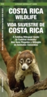 Image for Costa Rica Wildlife / Vida Silvestre de Costa Rica : A Folding Pocket Guide to Familiar Animals / Una Gu?a Plegable Port?til de Animales Conocidas
