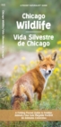 Image for Chicago Wildlife/Fauna de Chicago