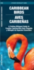Image for Caribbean Birds/Aves Caribenas : A Folding Pocket Guide to Familiar Species/Una Guia Plegable Portatil de Especies Conocidas