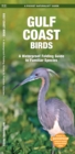 Image for Gulf Coast Birds : A Waterproof Folding Guide to Familiar Species
