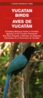 Image for Yucatan Birds/Aves de Yucatan : A Folding Pocket Guide to Familiar Species/Una Guia Plegable Portatil de Especies Conocidas