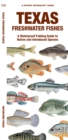 Image for Texas Freshwater Fishes : A Waterproof Folding Guide to Native and Introduced Species