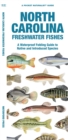 Image for North Carolina Freshwater Fishes : A Waterproof Folding Guide to Native and Introduced Species