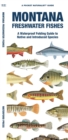 Image for Montana Freshwater Fishes : A Waterproof Folding Guide to Native and Introduced Species