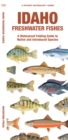 Image for Idaho Freshwater Fishes : A Waterproof Folding Guide to Native and Introduced Species