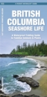 Image for British Columbia Seashore Life : A Waterproof Folding Pocket Guide to Familiar Animals &amp; Plants