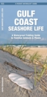Image for Gulf Coast Seashore Life : A Waterproof Folding Guide to Familiar Animals &amp; Plants