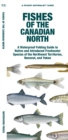 Image for Fishes of the Canadian North : A Waterproof Folding Guide to Native and Introduced Freshwater Species of the Northwest Territories, Nunavut and Yukon