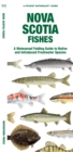 Image for Nova Scotia Fishes : A Waterproof Folding Guide to Native and Introduced Freshwater Species