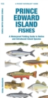Image for Prince Edward Island Fishes : A Waterproof Folding Guide to Native and Introduced Freshwater Species