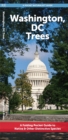 Image for Washington, DC Trees : A Folding Pocket Guide to Native &amp; Other Distinctive Species