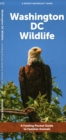 Image for Washington DC Wildlife