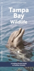 Image for Tampa Bay Wildlife : A Folding Pocket Guide to Familiar Animals