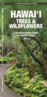 Image for Hawai&#39;i Trees &amp; Wildflowers : A Folding Pocket Guide to Familiar Plants