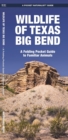 Image for Wildlife of Texas Big Bend : A Folding Pocket Guide to Familiar Animals