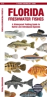 Image for Florida Freshwater Fishes : A Waterproof Folding Guide to Native and Introduced Species