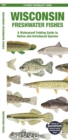 Image for Wisconsin Freshwater Fishes : A Waterproof Folding Guide to Native and Introduced Species