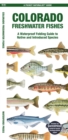 Image for Colorado Freshwater Fishes : A Waterproof Folding Guide to Native and Introduced Species