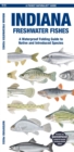 Image for Indiana Freshwater Fishes : A Waterproof Folding Guide to Native and Introduced Species