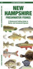 Image for New Hampshire Freshwater Fishes : A Waterproof Folding Guide to Native and Introduced Species