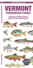 Image for Vermont Freshwater Fishes : A Waterproof Folding Guide to Native and Introduced Species