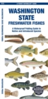 Image for Washington State Freshwater Fishes : A Waterproof Folding Guide to Native and Introduced Species