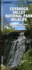 Image for Cuyahoga Valley National Park Wildlife : A Folding Pocket Guide to Native Species