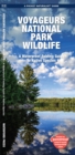 Image for Voyageurs National Park Wildlife : A Waterproof Folding Pocket Guide to Native Species