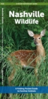 Image for Nashville Wildlife : A Folding Pocket Guide to Familiar Animals