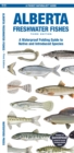 Image for Alberta Freshwater Fishes : A Waterproof Folding Guide to Native and Introduced Species